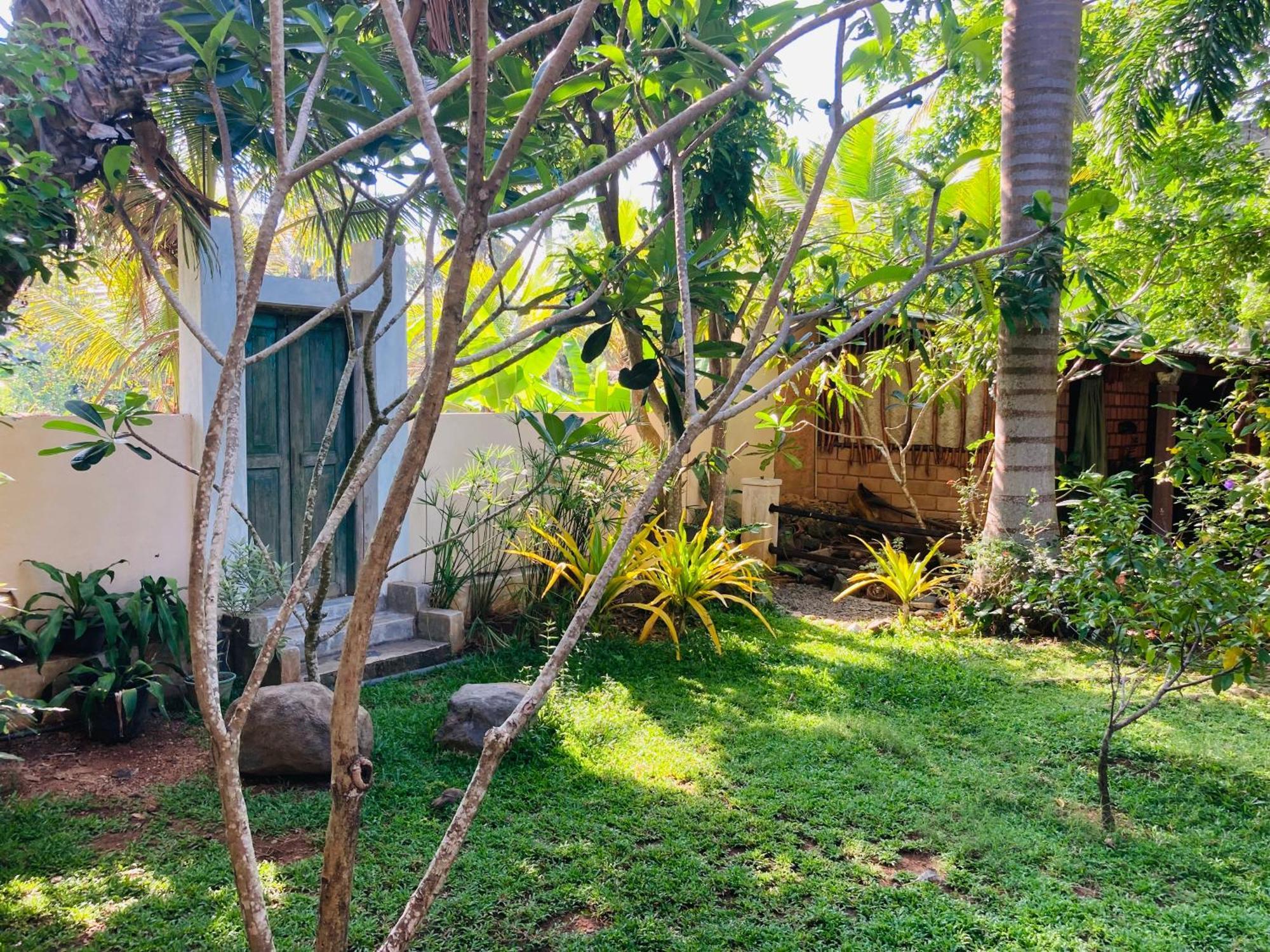 ホテル The Mango Leaf マータラ エクステリア 写真